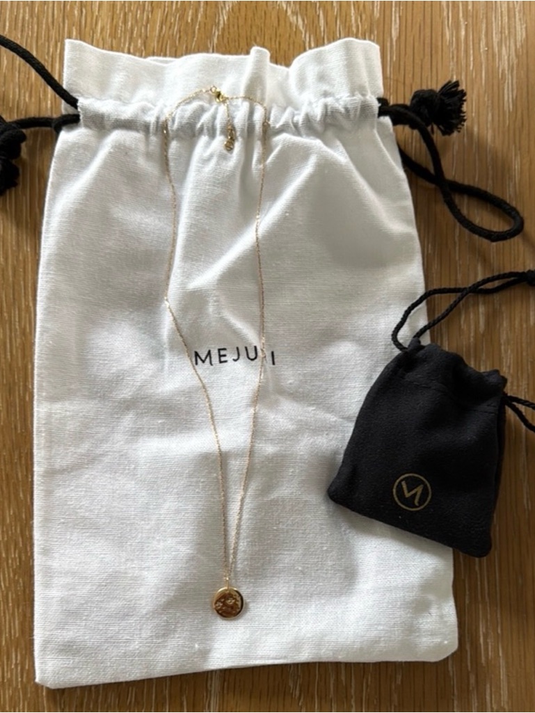 Euc! Mejuri Leo 14k Gold Charm Pendant + 14k Delicate Chain Necklace